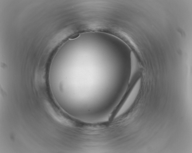 X0000090950443200708021340