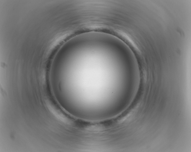 X0000090950447200708021340