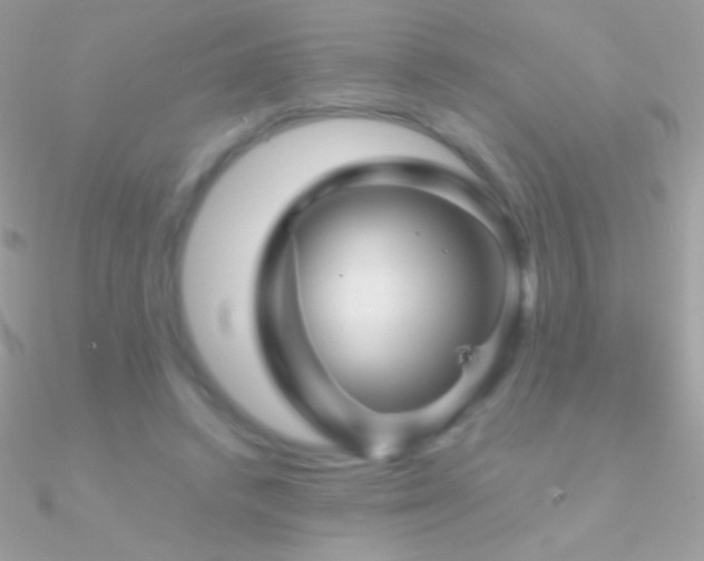 X0000090950448200708021340