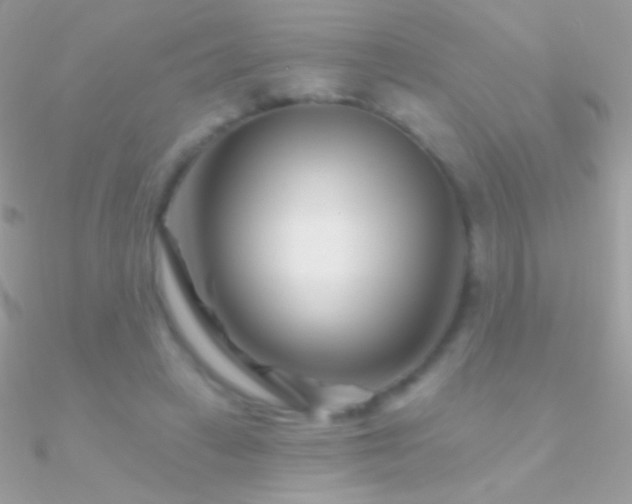 X0000090950449200708021340