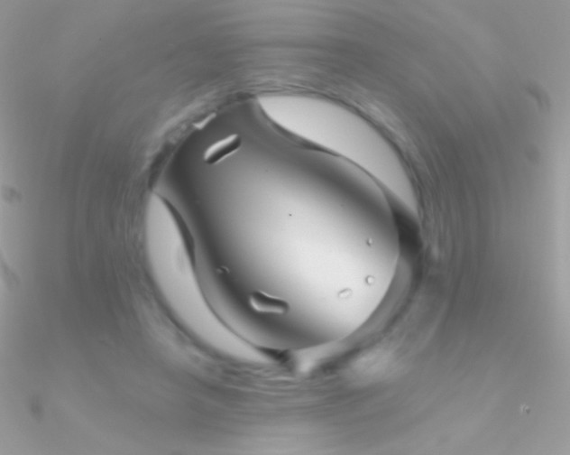 X0000090950450200708021340