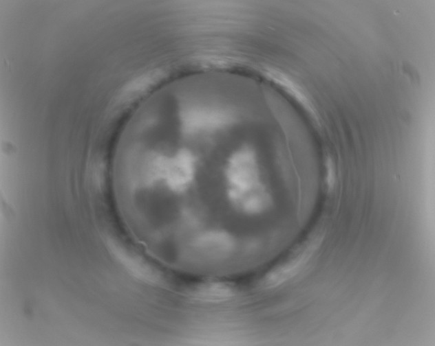 X0000090950451200708021340