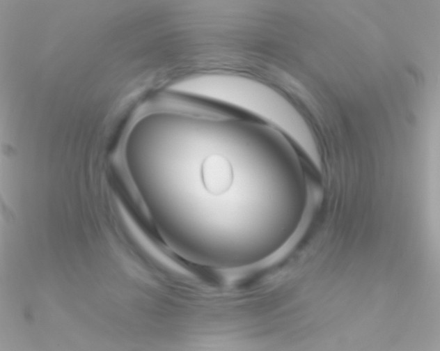 X0000090950452200708021340