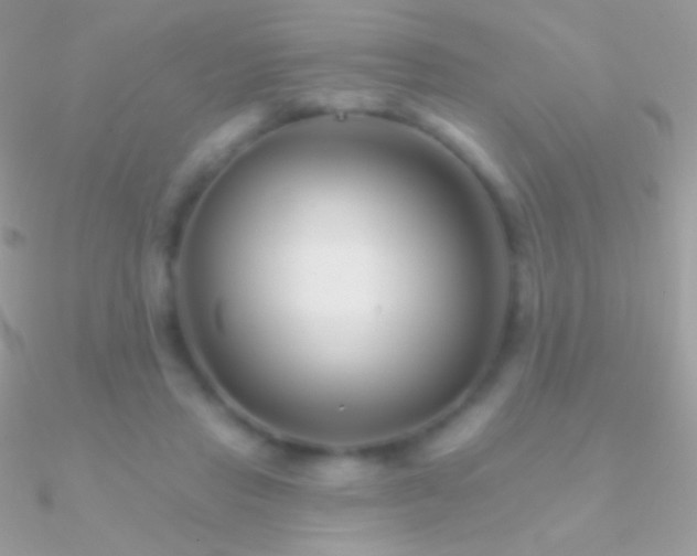 X0000090950453200708021340