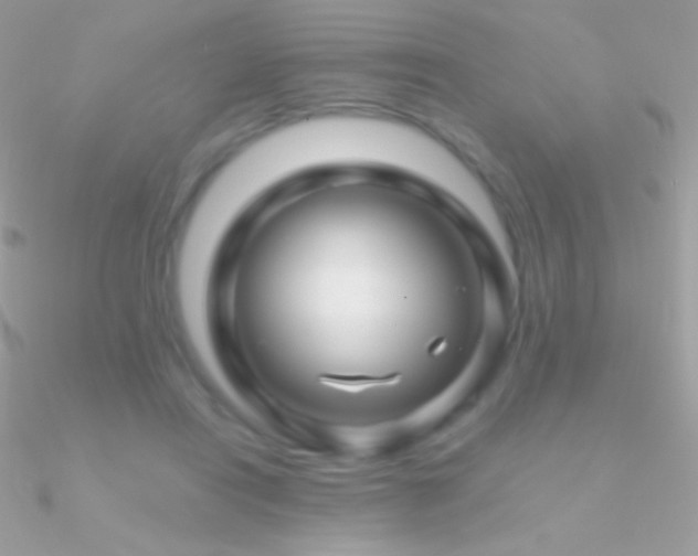 X0000090950454200708021340