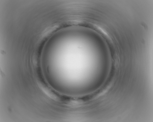 X0000090950455200708021340