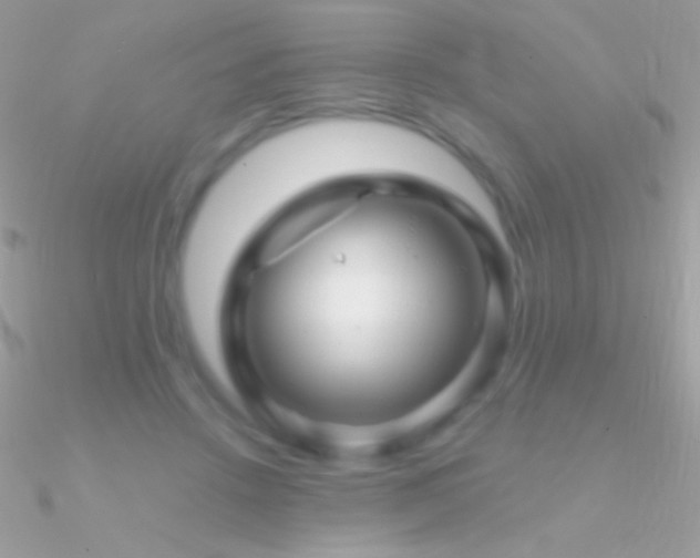 X0000090950456200708021340