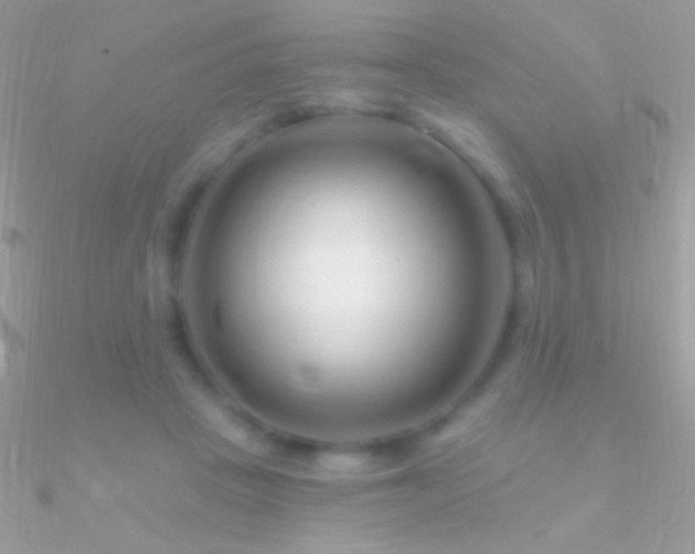 X0000090950457200708021340