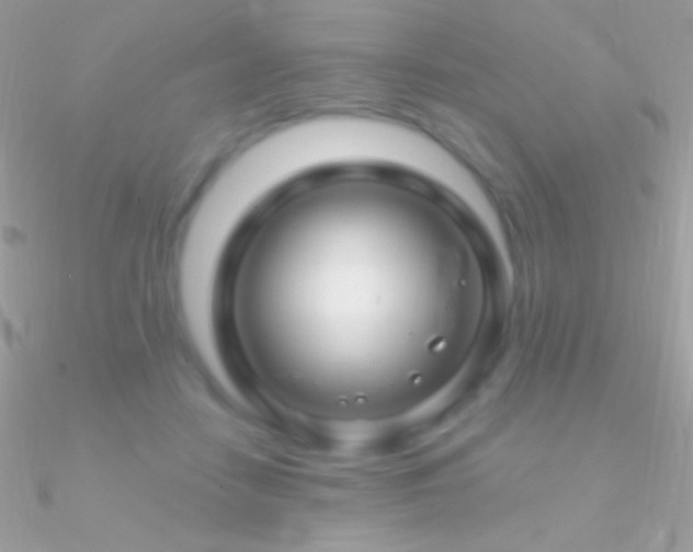 X0000090950458200708021340