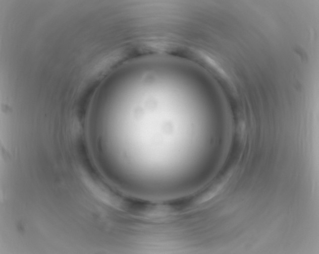 X0000090950459200708021340
