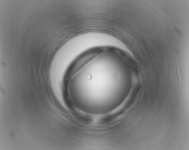 X0000090950460200708021340