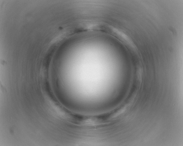 X0000090950461200708021340