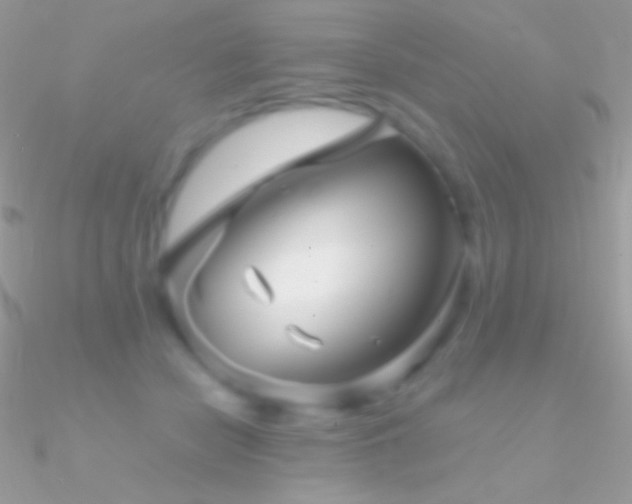 X0000090950462200708021340