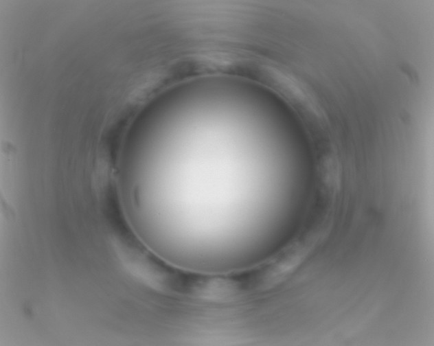 X0000090950463200708021340