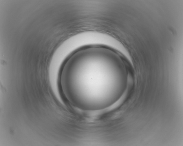 X0000090950464200708021340