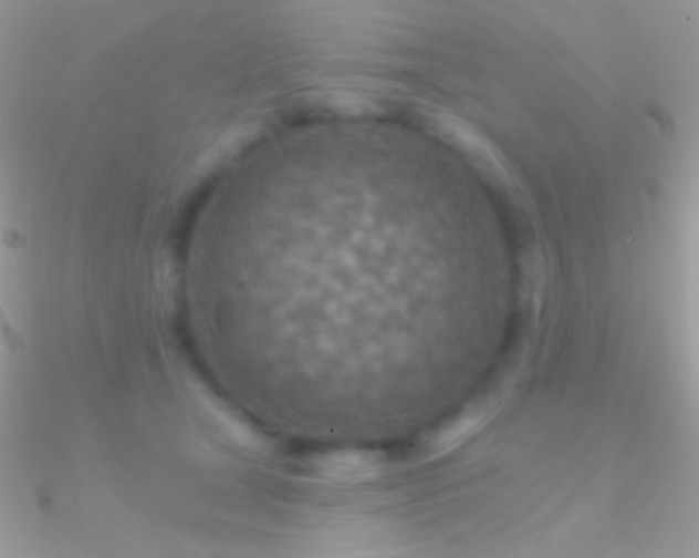 X0000090950465200708021340