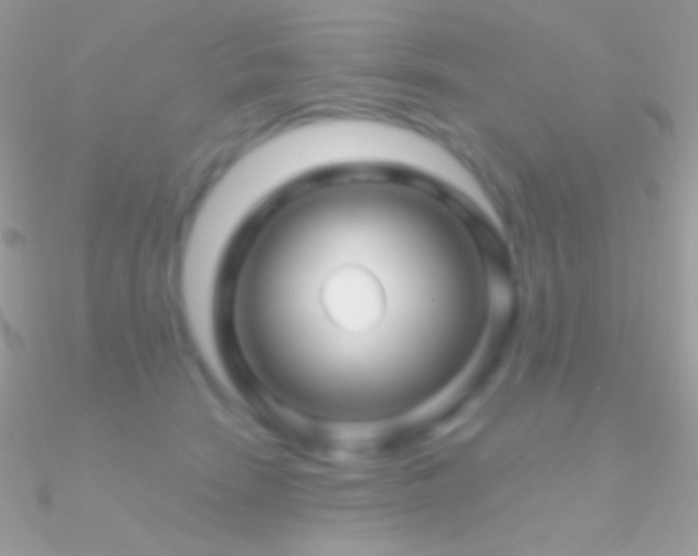 X0000090950466200708021340