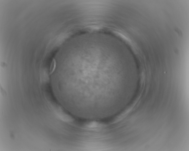 X0000090950467200708021340