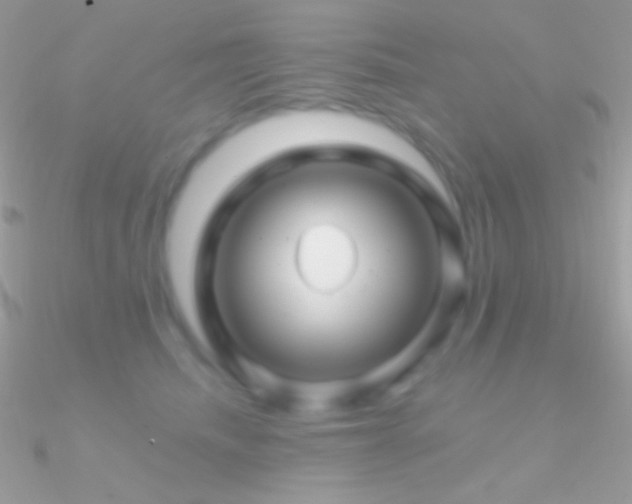 X0000090950468200708021340