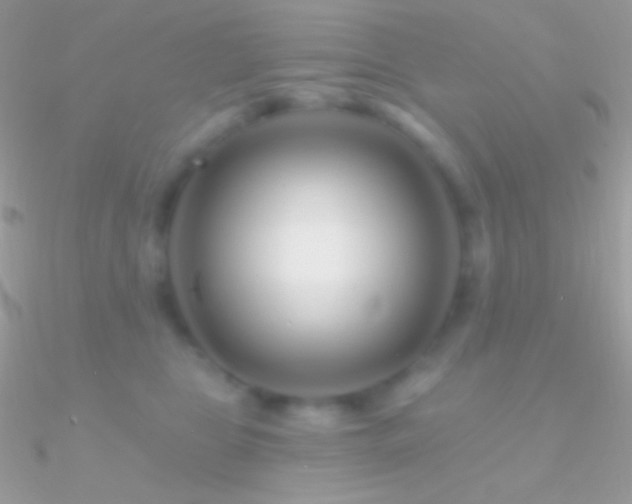X0000090950469200708021340