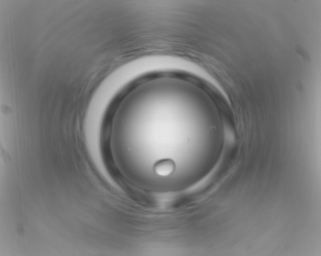 X0000090950470200708021340