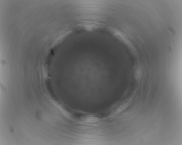 X0000090950471200708021340