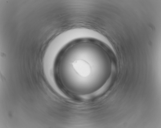 X0000090950472200708021340