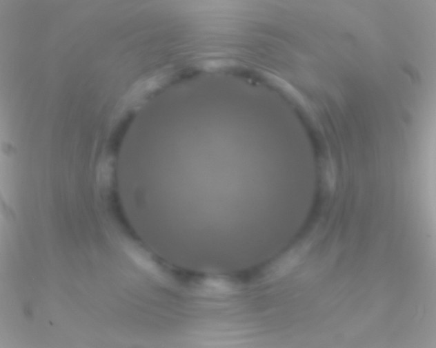 X0000090950475200708021340