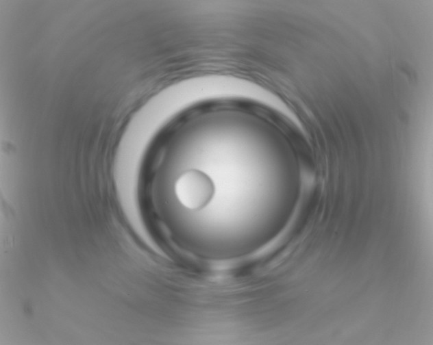 X0000090950476200708021340