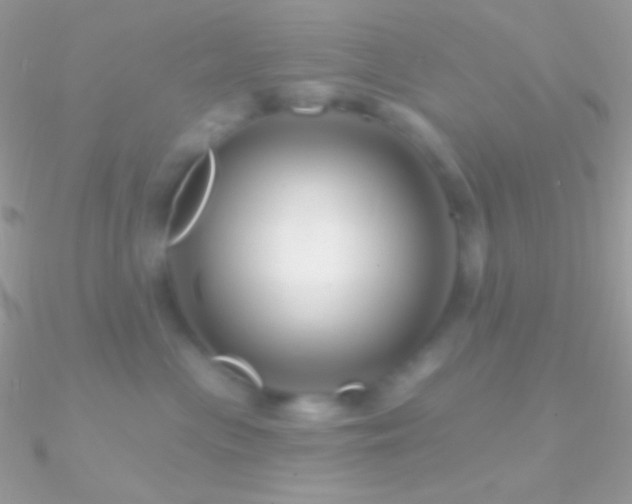 X0000090950477200708021340
