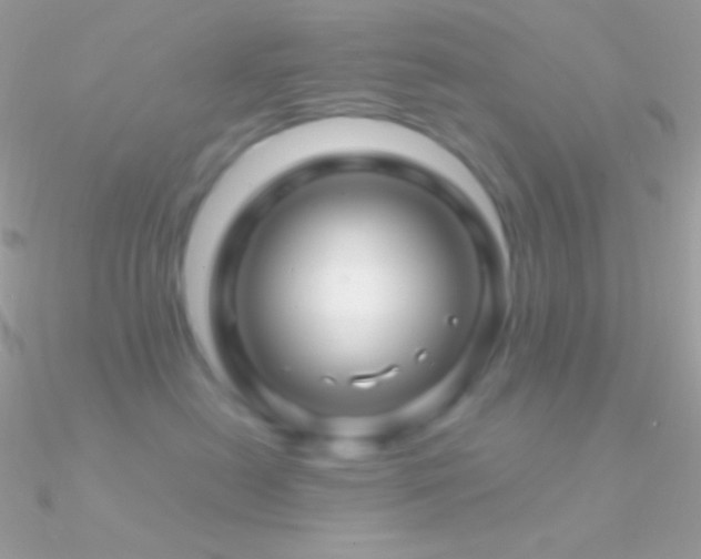 X0000090950478200708021340