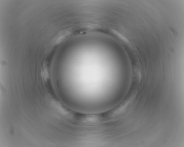 X0000090950479200708021340