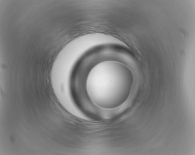 X0000090950480200708021340