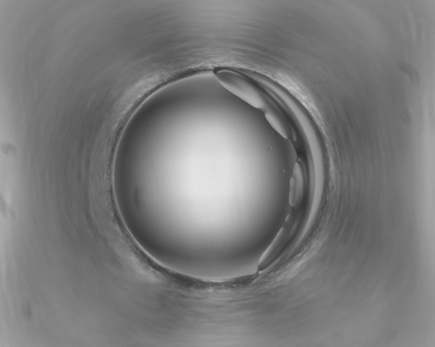 X0000090950481200708021340
