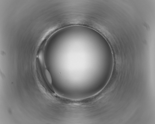 X0000090950482200708021340