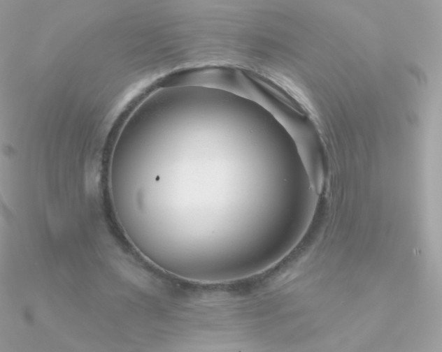 X0000090950483200708021340