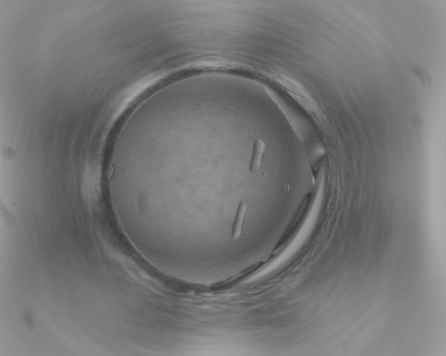 X0000090950484200708021340