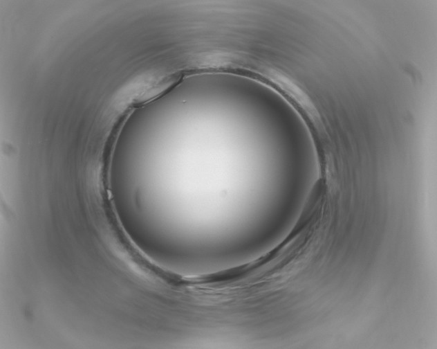 X0000090950485200708021340