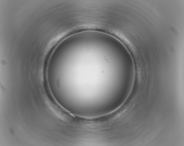 X0000090950486200708021340