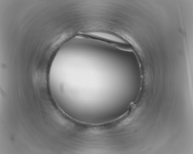 X0000090950489200708021340