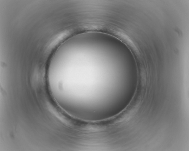 X0000090950490200708021340