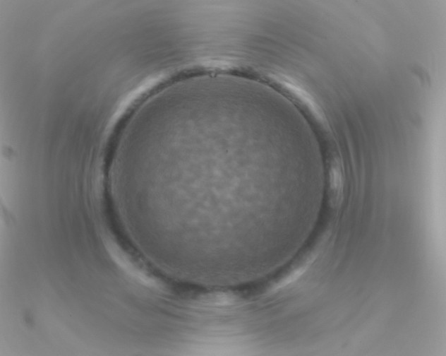 X0000090950492200708021340