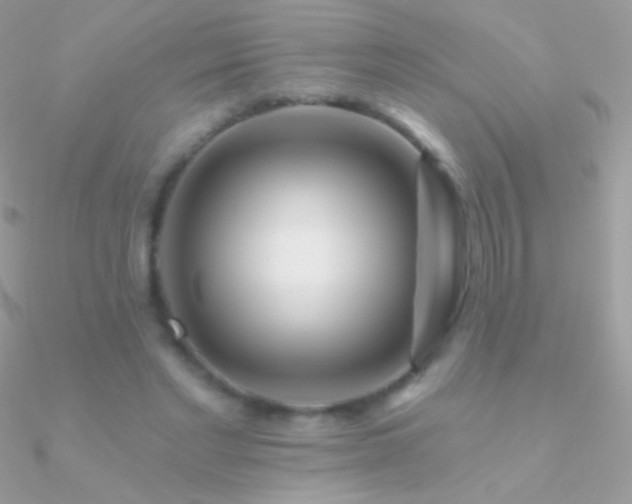 X0000090950493200708021340