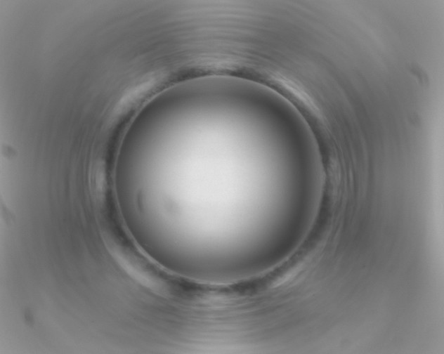 X0000090950494200708021340
