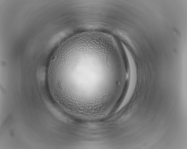 X0000090950495200708021340