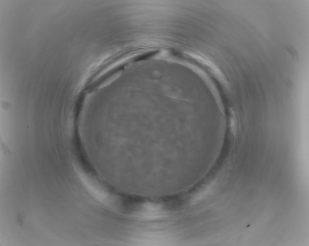 X0000090950496200708021340