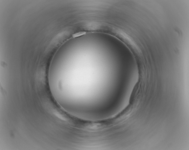 X0000090950497200708021340