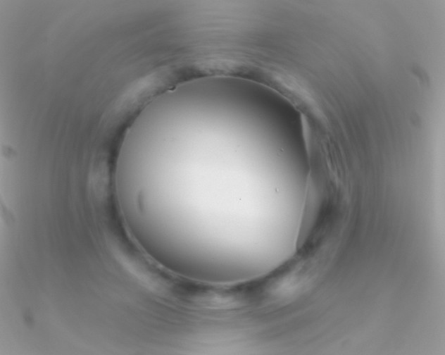 X0000090950498200708021340