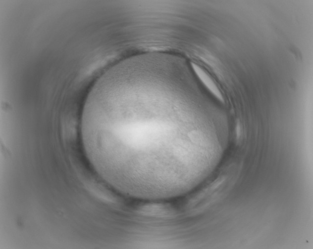 X0000090950499200708021340