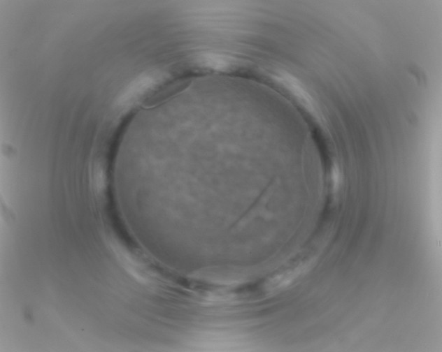 X0000090950500200708021340